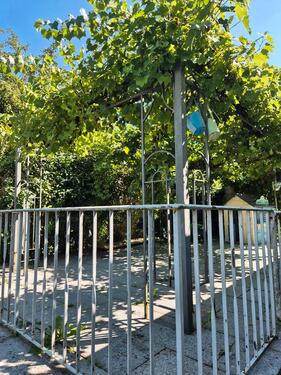 Foto - Einfamilienhaus zur Miete in Leipheim