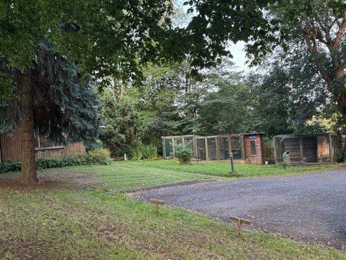 Foto - Etagenwohnung in Heilbad Heiligenstadt zur Miete