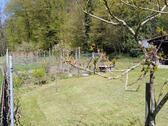 Foto - Einfamilienhaus in Murg zum Kaufen