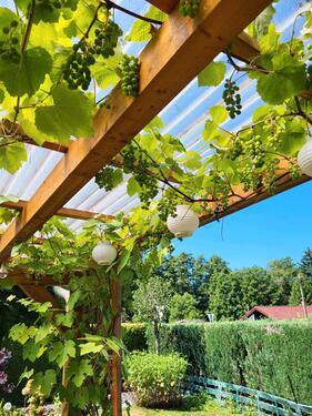 Foto - 2 Zimmer Einfamilienhaus zum Kaufen in Hirzenhain