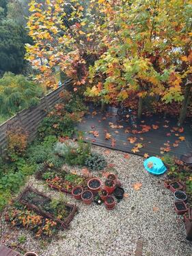 Foto - 1 Zimmer andere zur Miete in Mönchengladbach