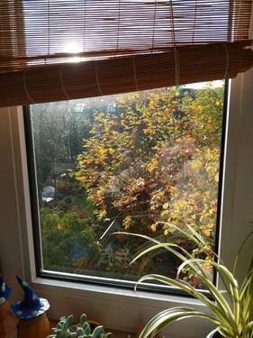 Foto - andere in Mönchengladbach zur Miete