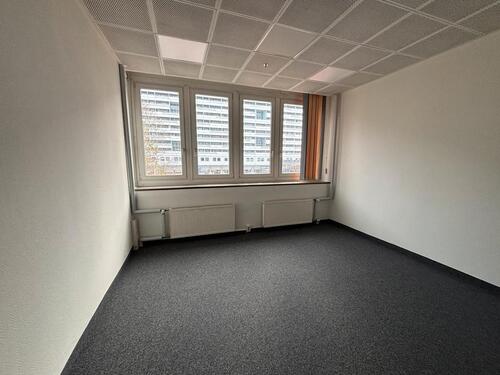 Foto - andere in Dresden