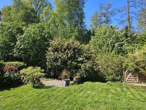 Foto - Doppelhaushälfte in Uetersen zur Miete