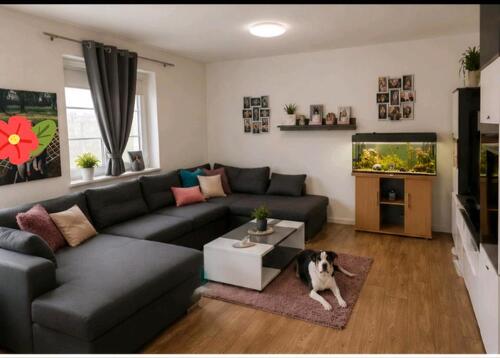Foto - 3 Zimmer Etagenwohnung in Dessau-Roßlau