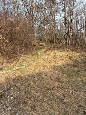 Foto - Freizeitgrundstück Schrebergarten Brennholzlager Obstgarten