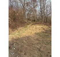 Freizeitgrundstück Schrebergarten Brennholzlager Obstgarten - Deggendorf