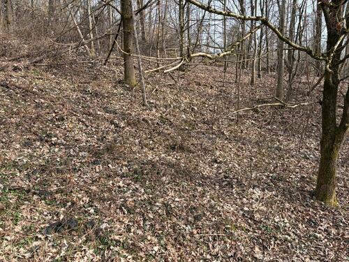 Foto - Grundst&uuml;ck in Deggendorf