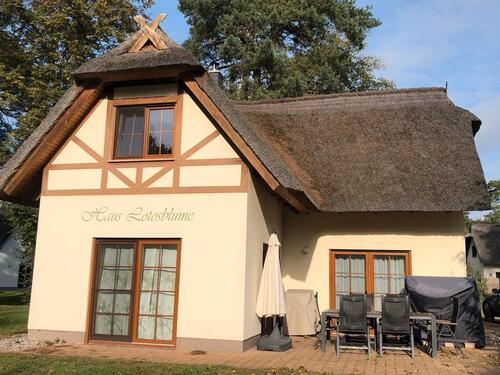 Foto - Reetdachferienhaus mit Haffblick