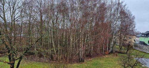 Foto - Baugrundstück in Münchberg, 1.500 bis 2.000 m2 nach Wunsch