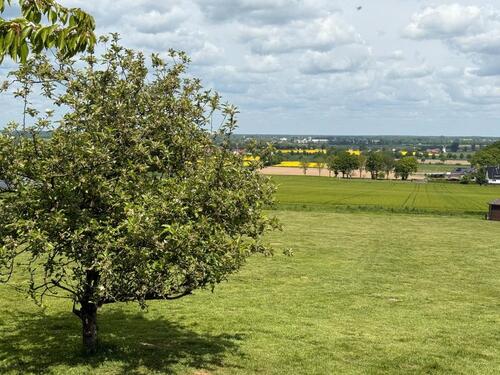 Foto - Einfamilienhaus zum Kaufen in Hille
