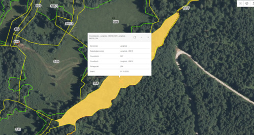 Foto - Grundst&uuml;ck in Pfronten zur Miete