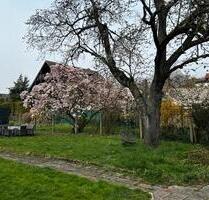 3-Zimmer-Wohnung mit Garten in Alsdorf-Mariadorf – ab 1.6.26