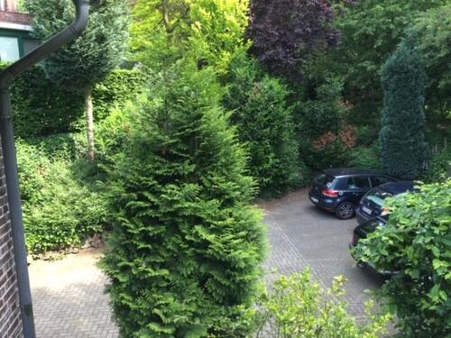 Foto - Etagenwohnung zur Miete in Damme