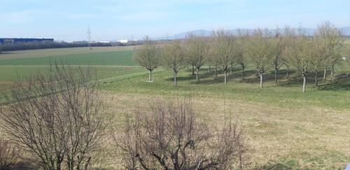 Foto - 3 Zimmer-Wohnung - 395.000,00&nbsp;EUR Kaufpreis, ca.&nbsp; 85,00&nbsp;m&sup2;