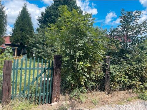 Foto - Einfamilienhaus zum Kaufen in Coswig (Anhalt)