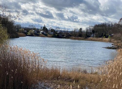 Foto - Einfamilienhaus in Großostheim zur Miete