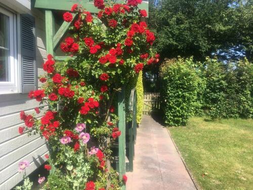 Foto - 2 Zimmer Einfamilienhaus zum Kaufen in Grömitz