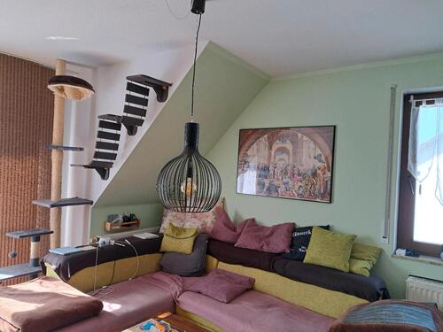 Foto - 2 Zimmer Dachgeschoßwohnung zur Miete in Dessau-Roßlau