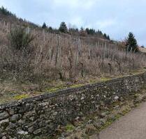 Weinberg 1846 m - 800,00&nbsp;EUR Kaltmiete, ca.&nbsp; 0,00&nbsp;m&sup2; in Leiwen (PLZ: 54340)