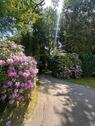 Foto - Einfamilienhaus in Blomberg zum Kaufen