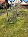 Foto - 7 Zimmer Einfamilienhaus zum Kaufen in Maulbronn