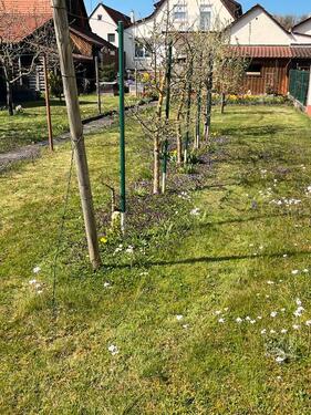 Foto - 7 Zimmer Einfamilienhaus zum Kaufen in Maulbronn