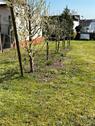 Foto - 7 Zimmer Einfamilienhaus in Maulbronn