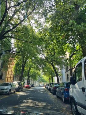 Foto - Etagenwohnung in Braunschweig