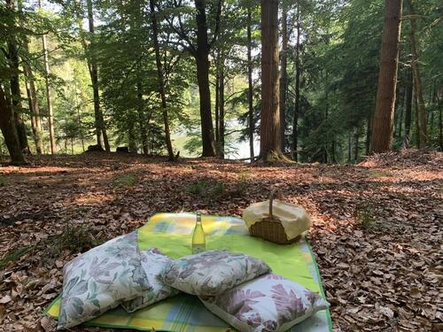 Foto - Freizeitgrundstück - See, Wald, Hanglage