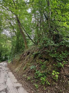 Foto - Einfamilienhaus zum Kaufen in Stolberg (Rhld.)
