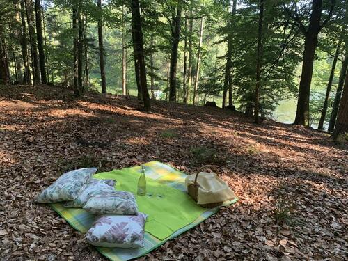 Foto - Grundst&uuml;ck zur Miete in Eging am See