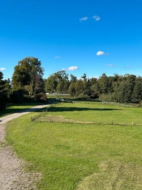 Foto - Einfamilienhaus zum Kaufen in Tutow