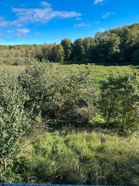 Foto - Einfamilienhaus in Tutow