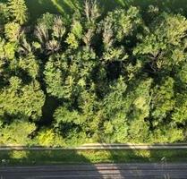 Wald gemischt und kleine Wiese mit Apfelbäume - Nürtingen