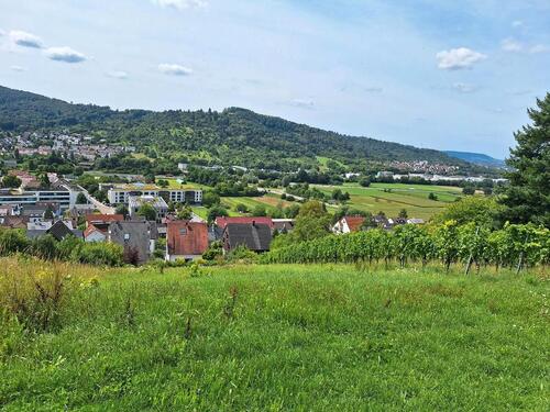 Foto - Wiesengrundstück - 2.500,00 EUR Kaltmiete, ca.  0,00 m²