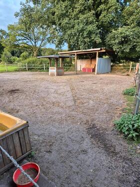 Foto - Einfamilienhaus zum Kaufen in Bad Bramstedt