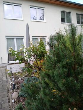 Foto - Einfamilienhaus in Berlin zum Kaufen