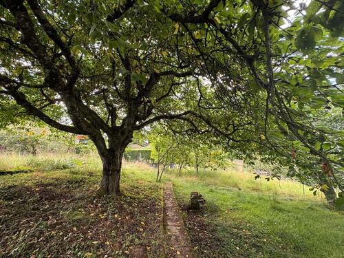 Foto - Vermietung - Gartengrundstück in Gaiberg