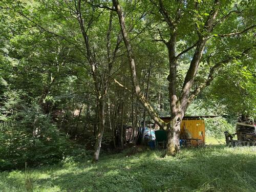 Foto - Grundst&uuml;ck zur Miete in Gaiberg