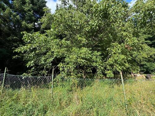 Foto - Grundst&uuml;ck in Gaiberg zur Miete