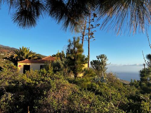 Foto - Finca Ferienhaus auf der Kanarischen Insel La Palma