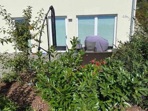 Foto - Erdgeschoßwohnung in Prüm zur Miete