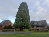 Foto - Einfamilienhaus in Holdorf zum Kaufen