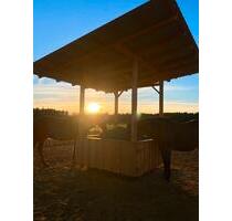 Ferien auf privatem (Pferde)Hof - Gnarrenburg Ferien auf privatem (Pferde)Hof - Gnarrenburg