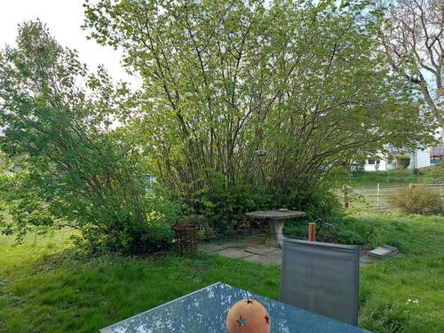 Foto - Bauernhaus, Landhaus zum Kaufen in Schöppenstedt