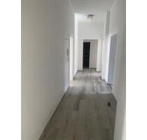 WG ZImmer zu Vermieten ab 1.3.2026 - Karlsruhe Beiertheim-Bulach