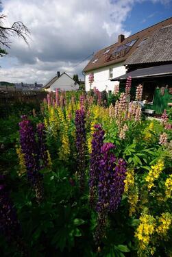 Foto - 300qm Haus mit Garten inmitten der Vulkaneifel