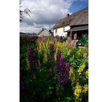 300qm Haus mit Garten inmitten der Vulkaneifel - Düsseldorf Stadtbezirk 7