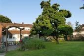 Foto - Einfamilienhaus in Celle zum Kaufen